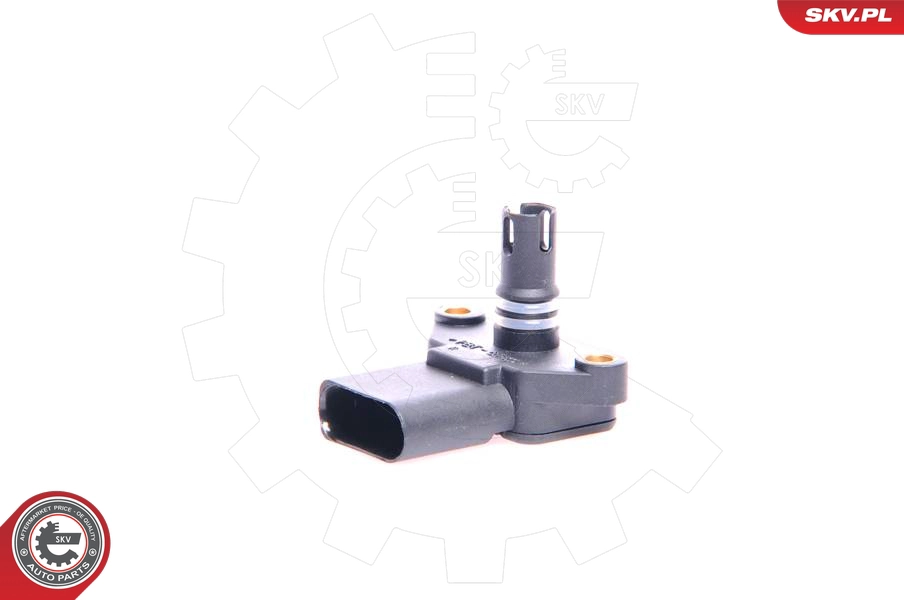 17SKV117