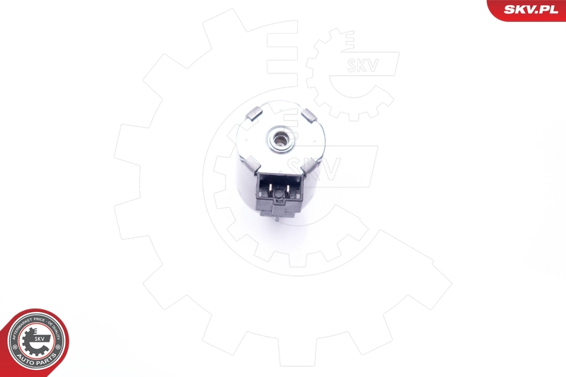 39SKV027