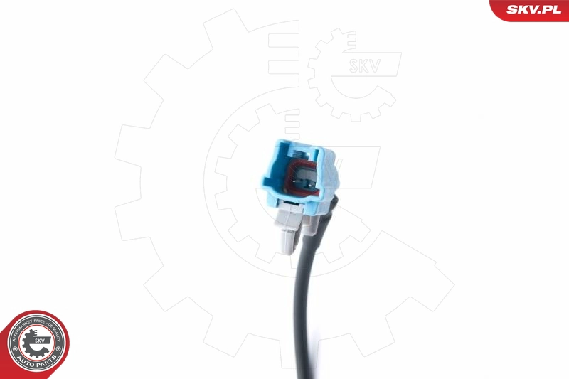 06SKV212