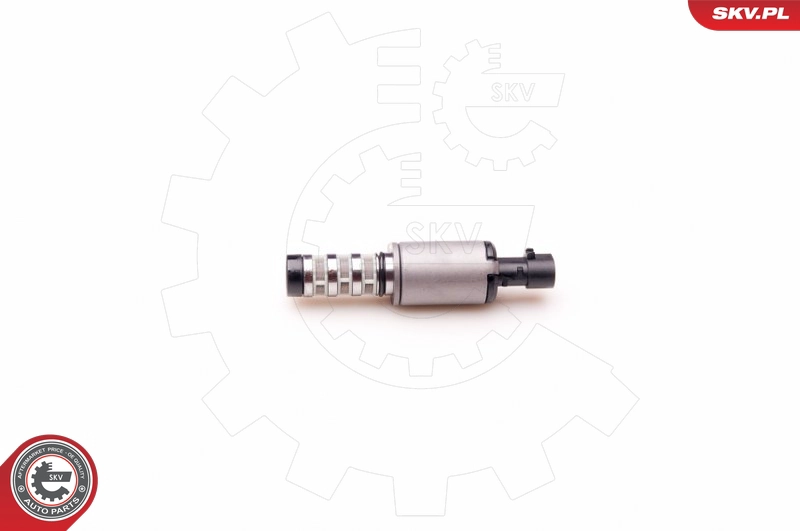 39SKV001