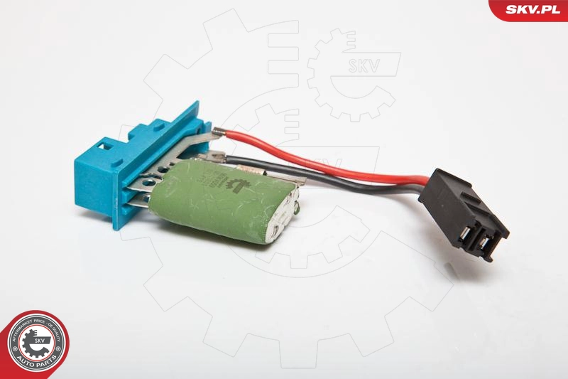 95SKV059