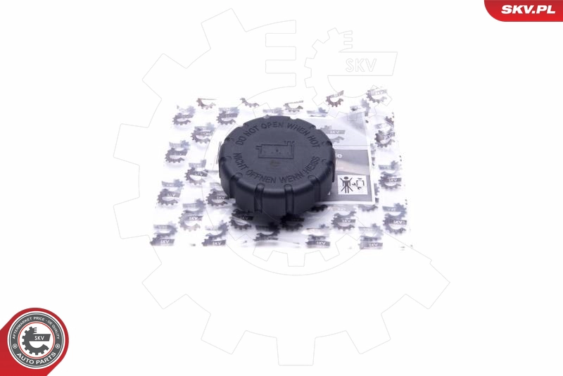 61SKV017