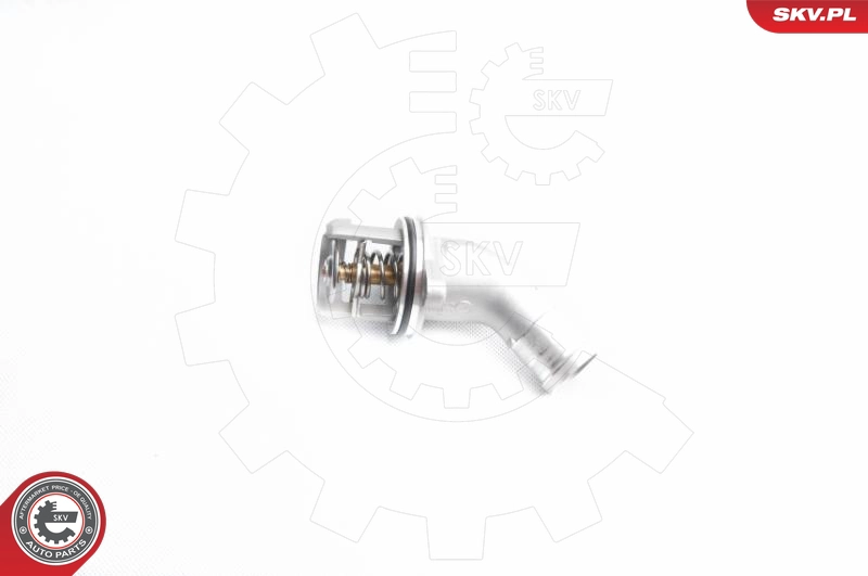 20SKV041