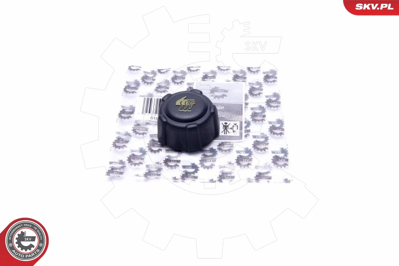 61SKV027