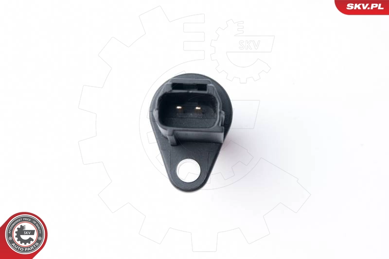 17SKV252