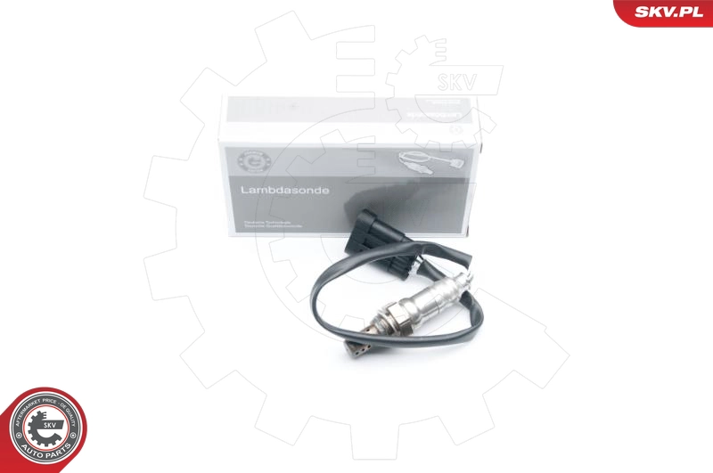 09SKV598