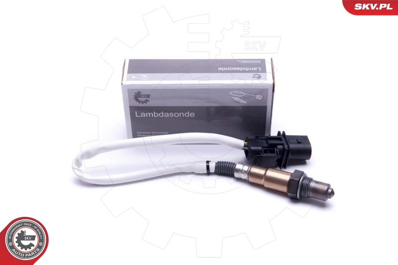 09SKV428