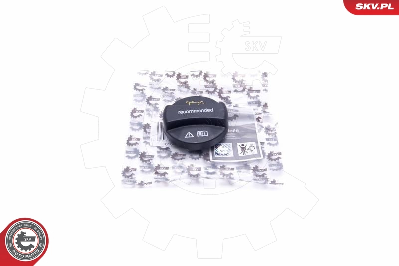 61SKV035
