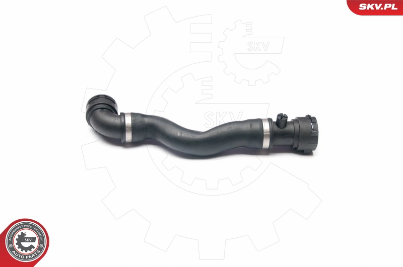 24SKV202