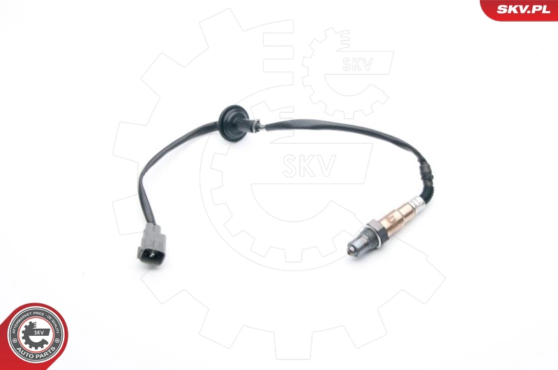 09SKV748