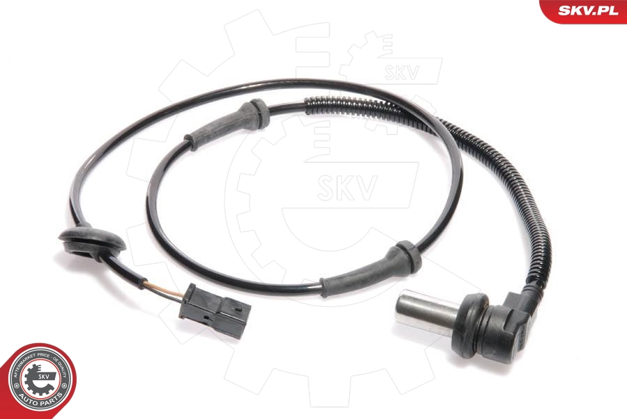 06SKV013