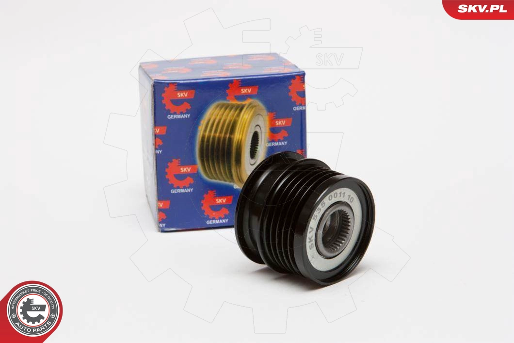 11SKV008