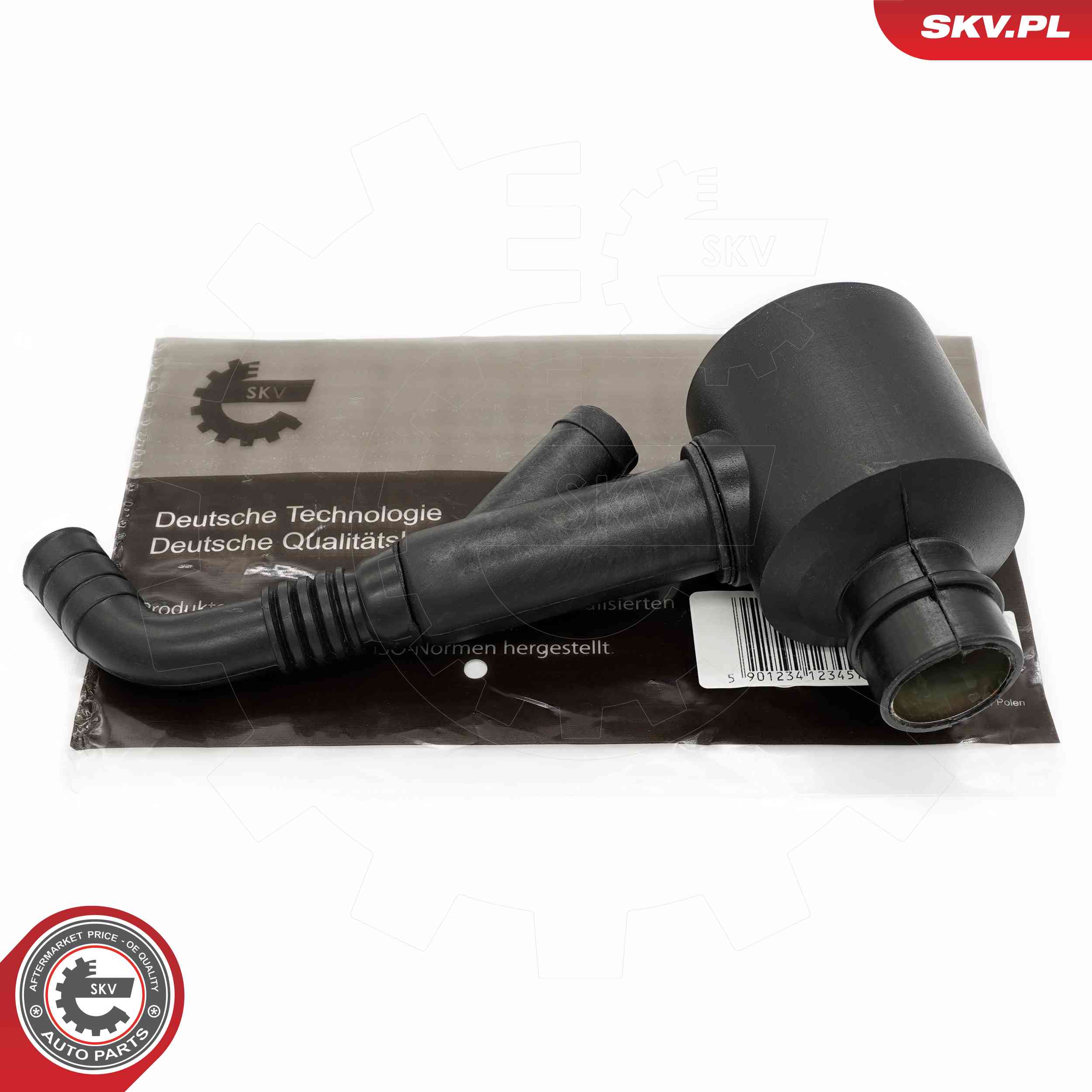 31SKV269