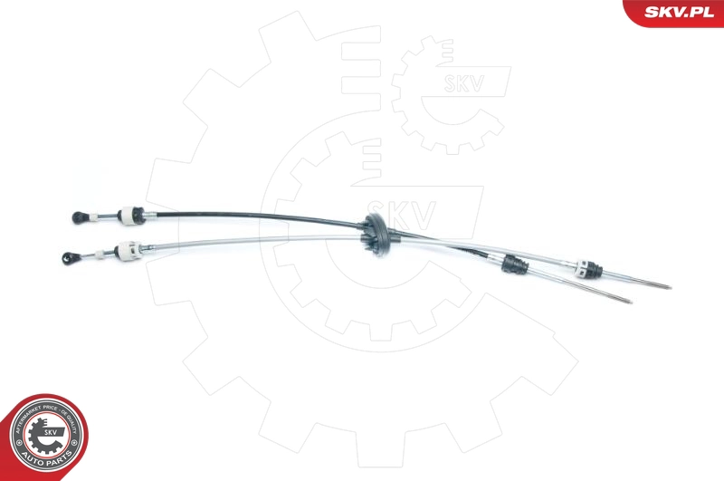 27SKV010