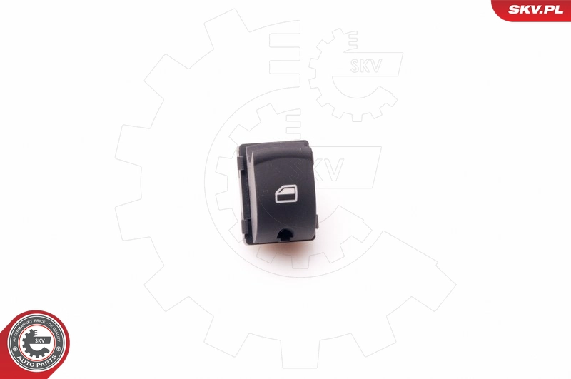 37SKV303