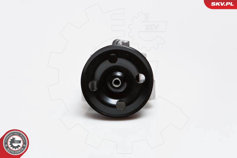 10SKV091