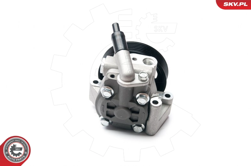 10SKV215