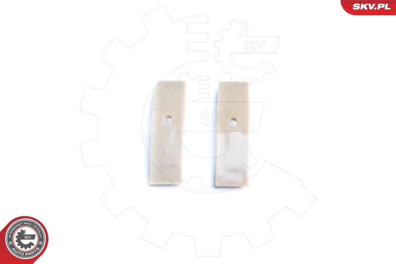 21SKV004