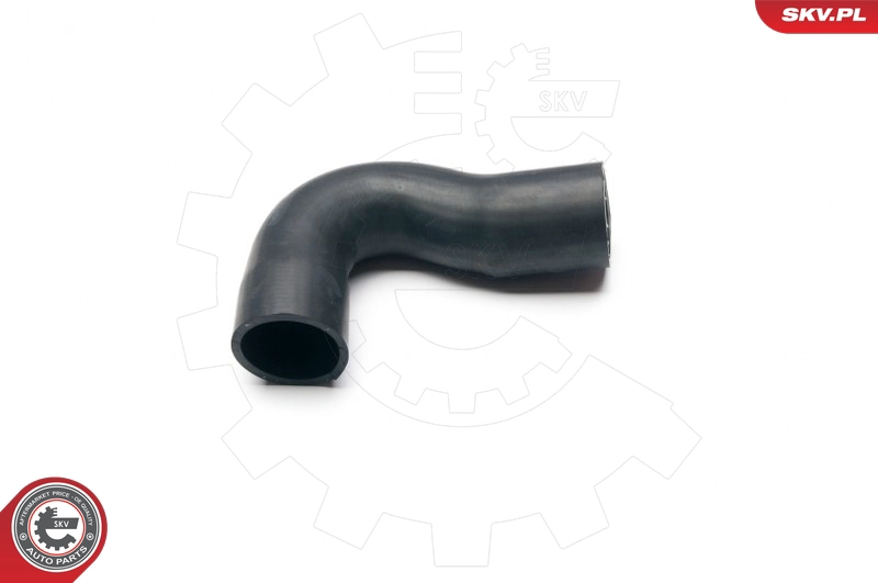 24SKV008