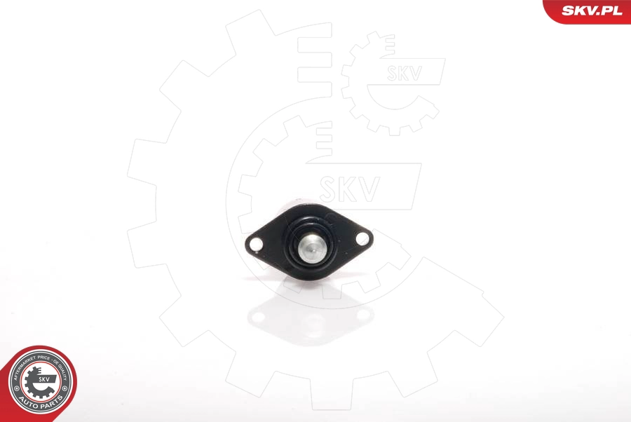 08SKV008