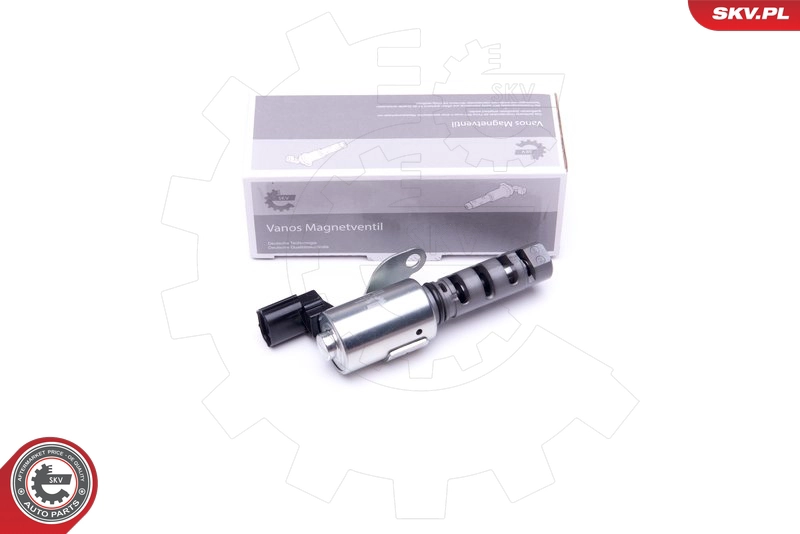 39SKV060