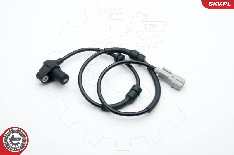 06SKV271
