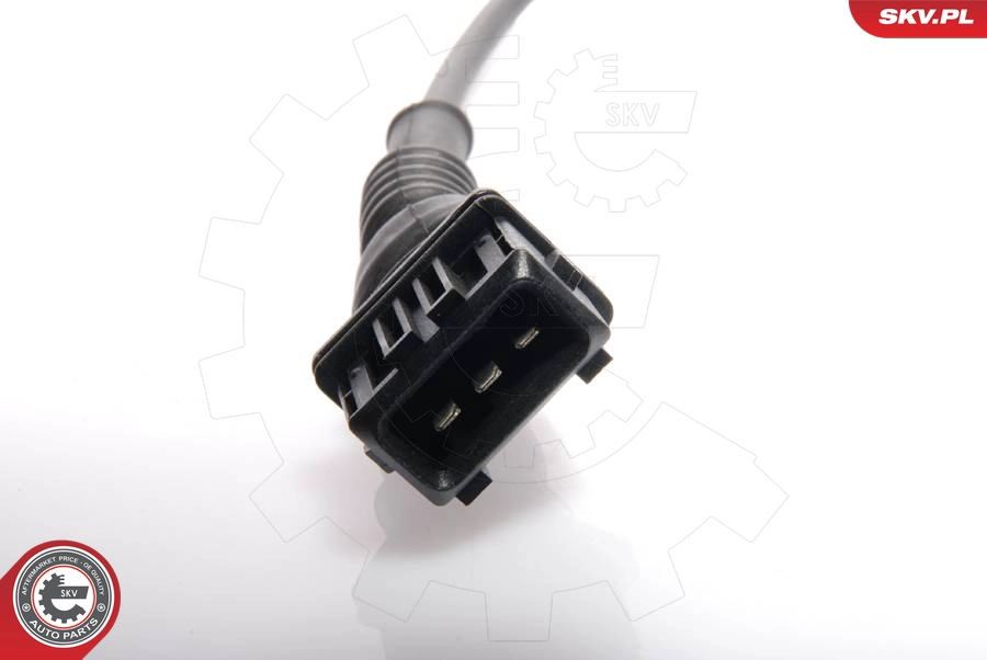 17SKV208