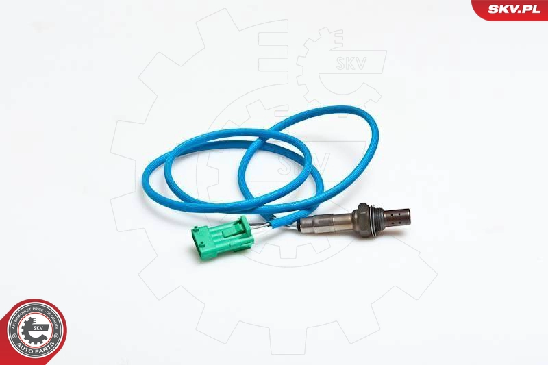 09SKV037