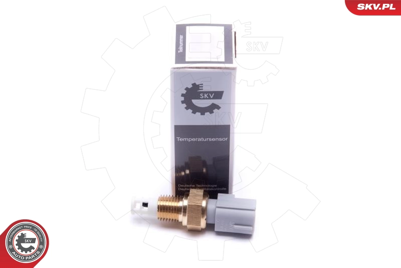 17SKV684