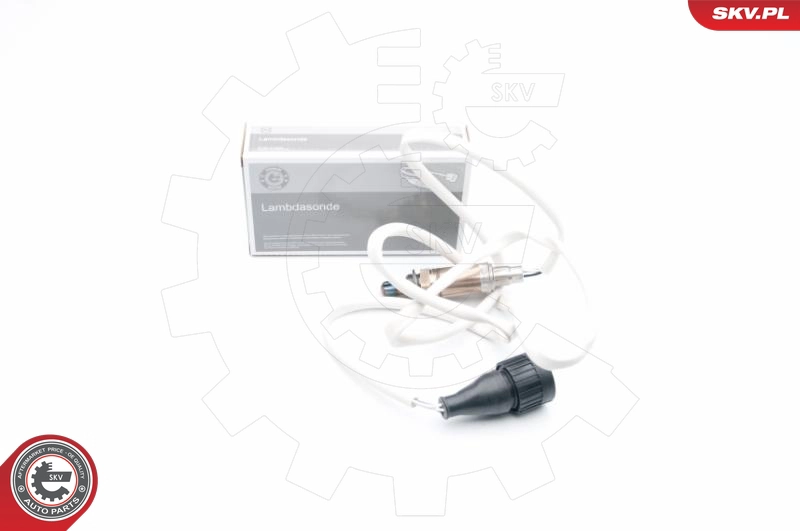09SKV586