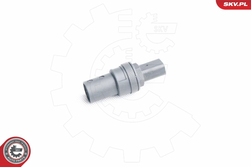 17SKV356