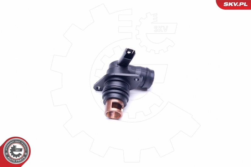 31SKV136
