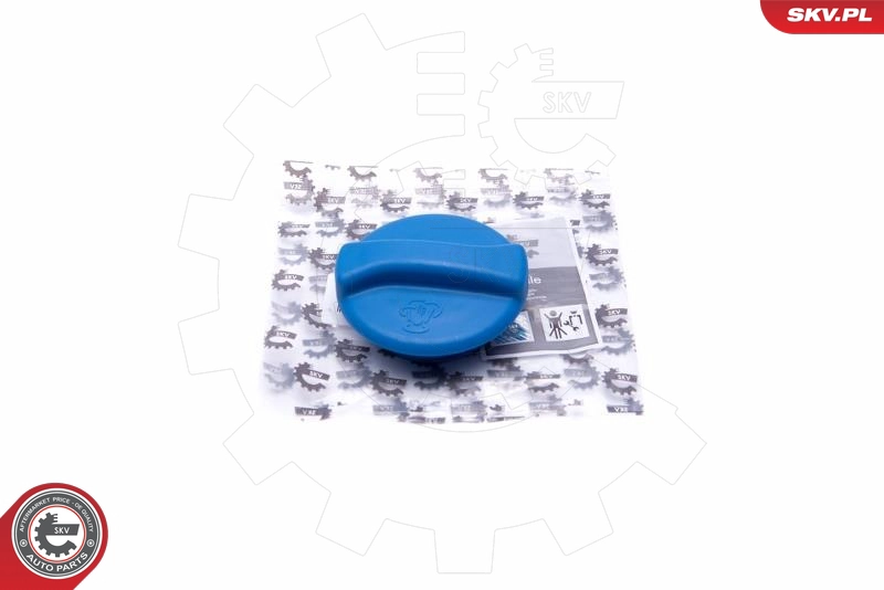 61SKV009