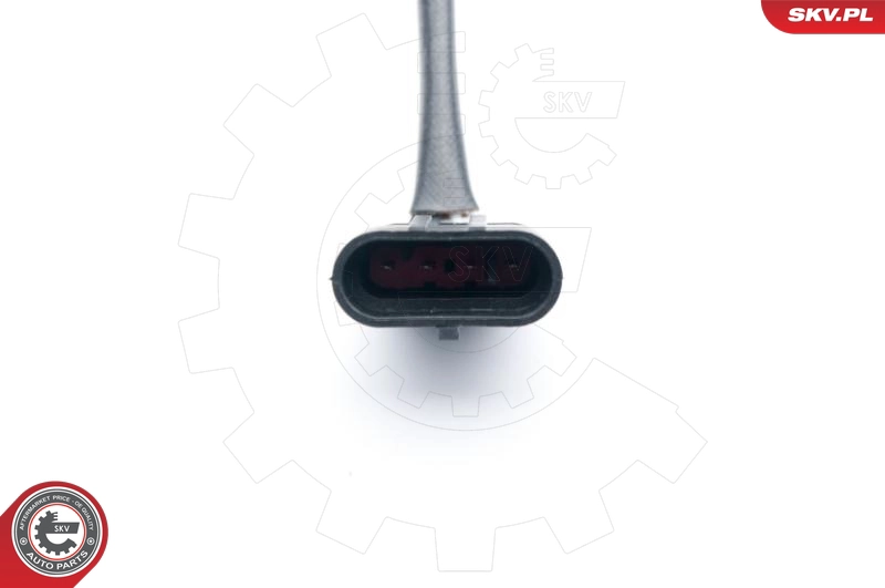 09SKV597