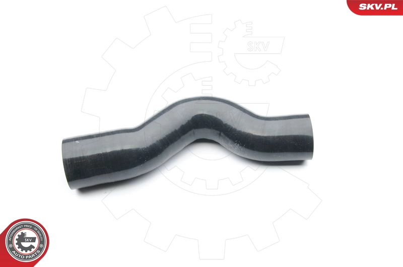 24SKV022