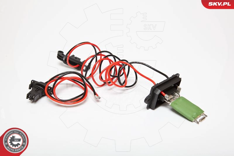95SKV043