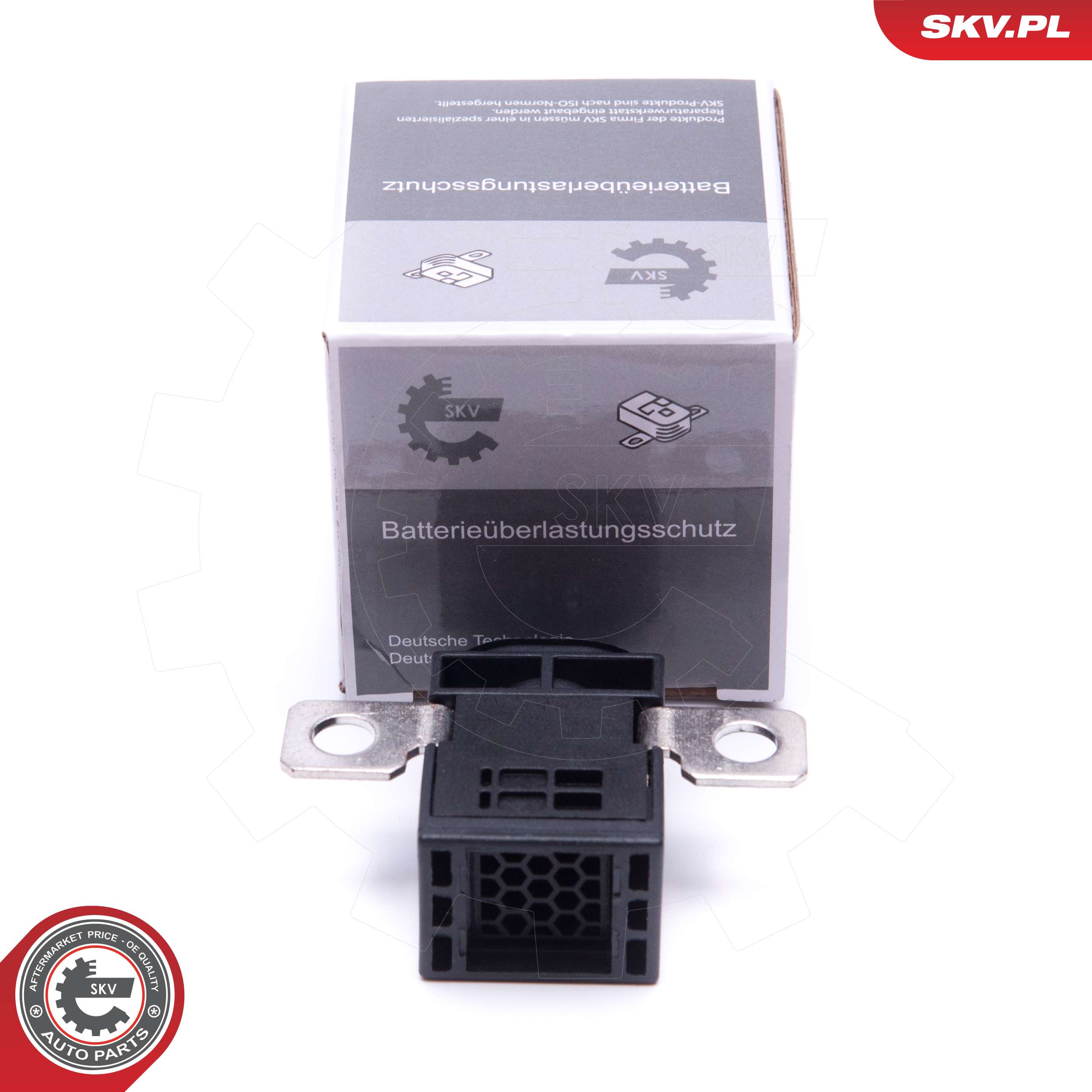 96SKV004