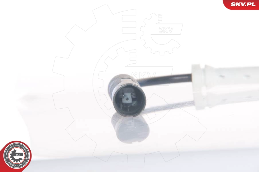 06SKV003