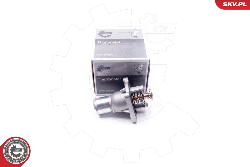 20SKV081
