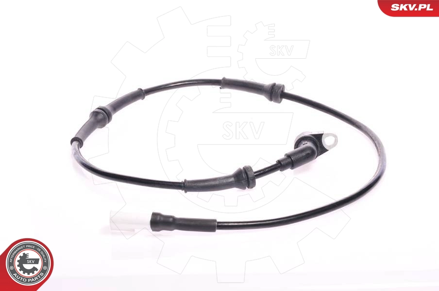 06SKV054