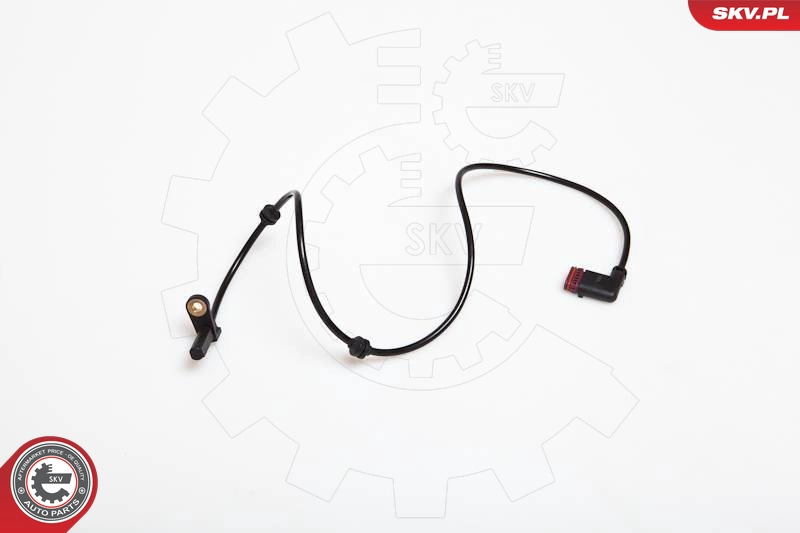 06SKV138