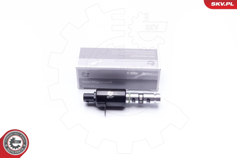 39SKV024