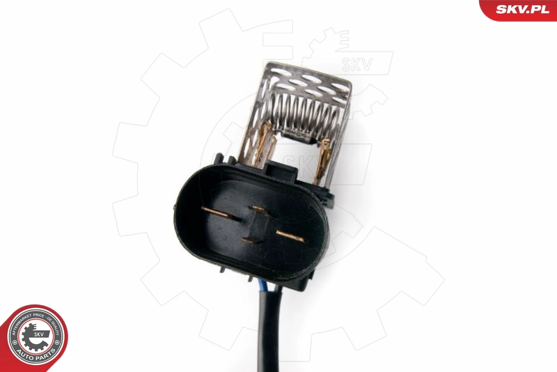 96SKV011