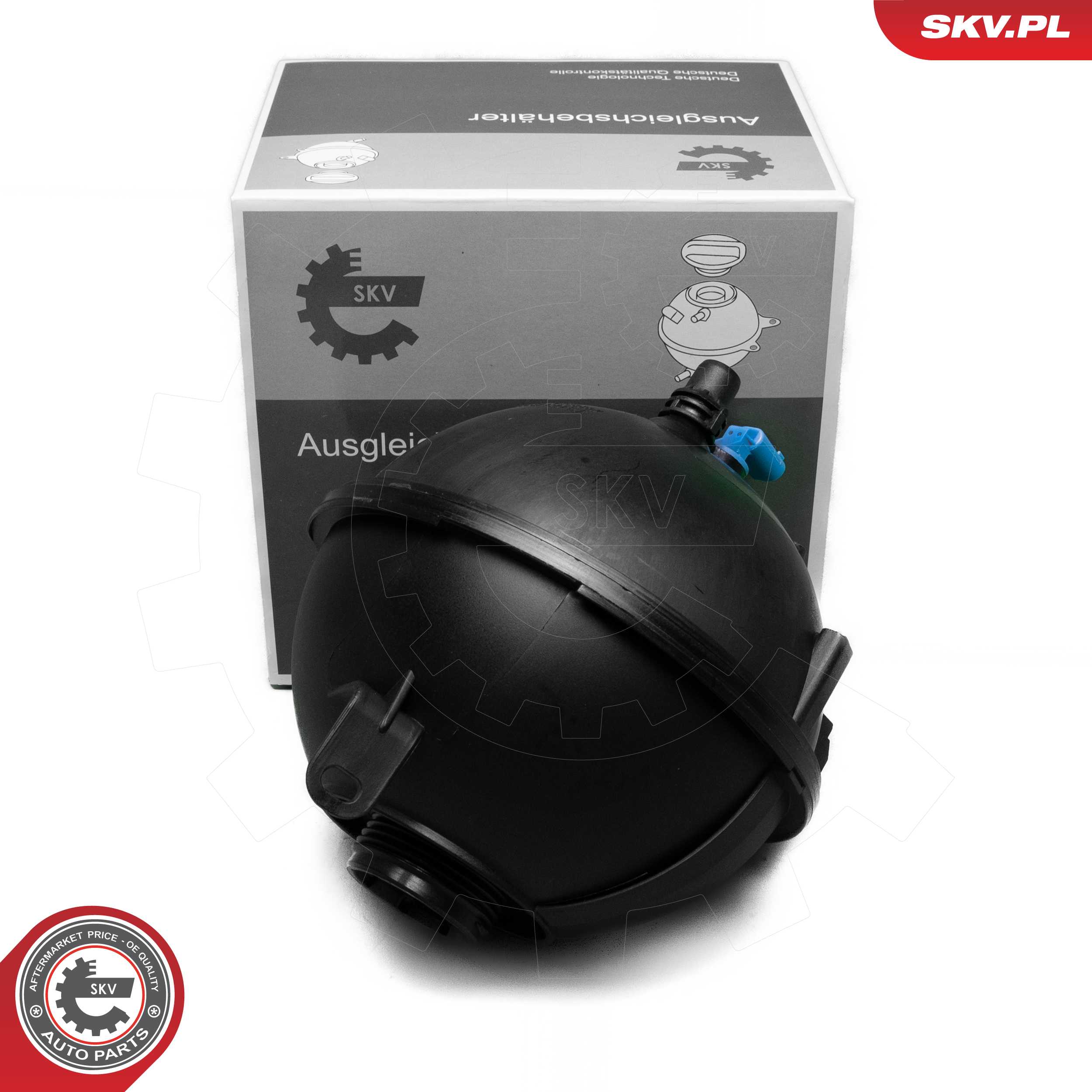 61SKV491