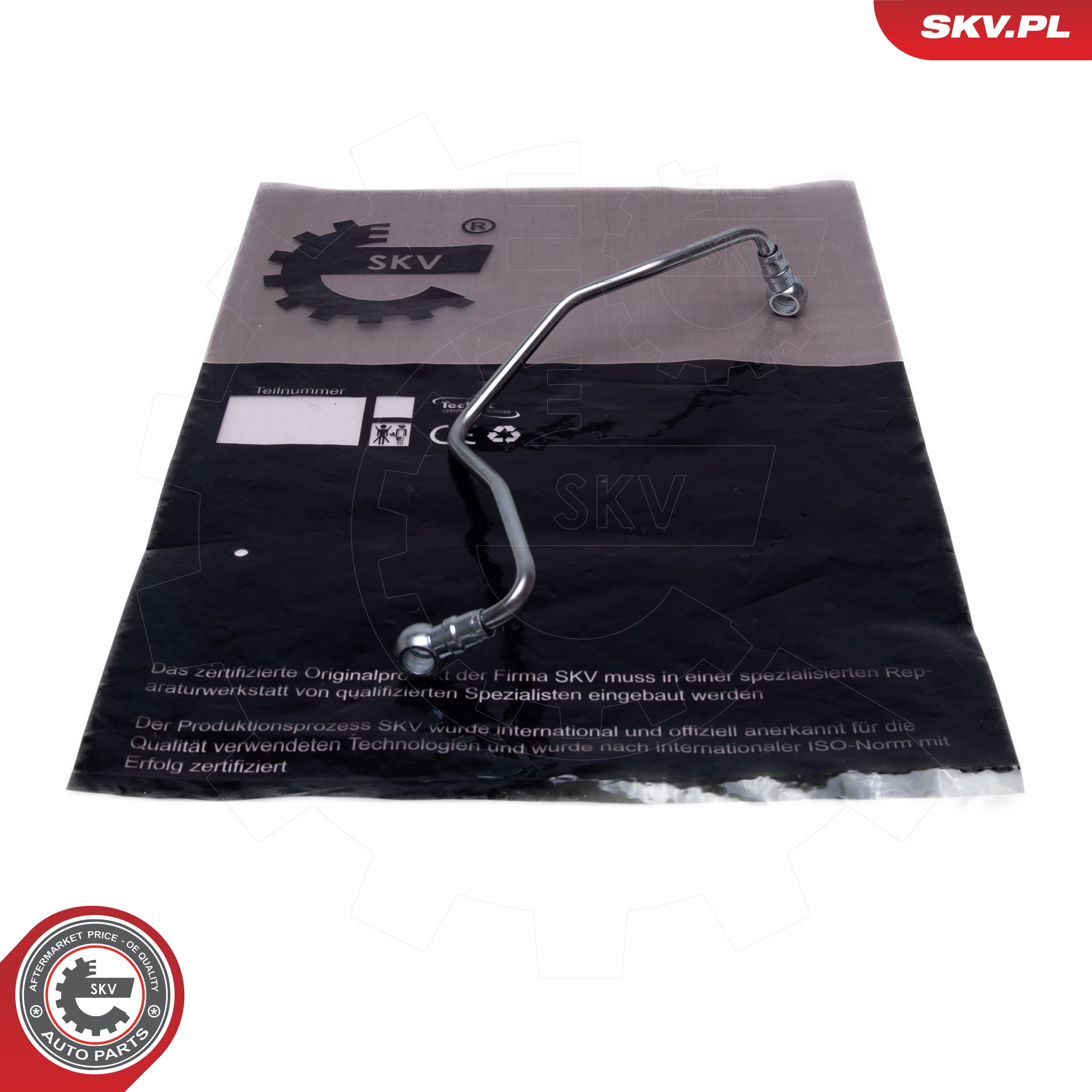 31SKV259