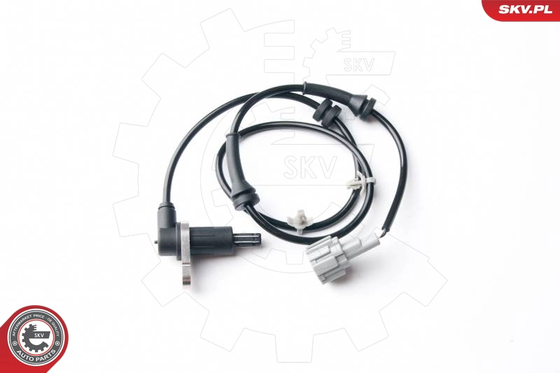 06SKV207