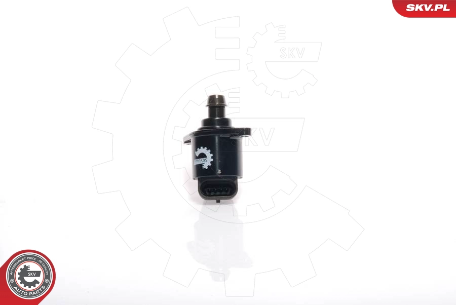 08SKV039