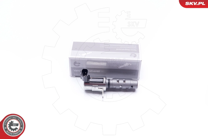 39SKV038