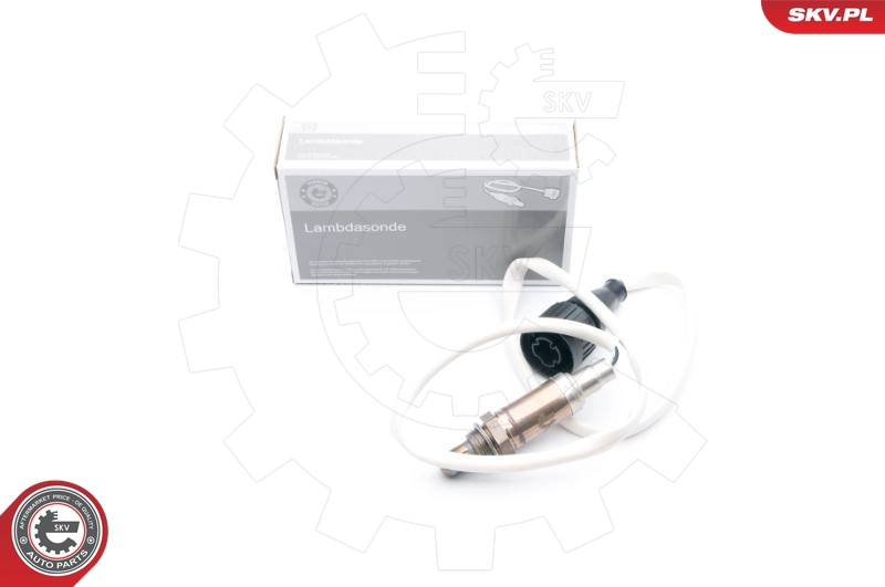 09SKV587