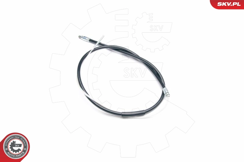 25SKV004